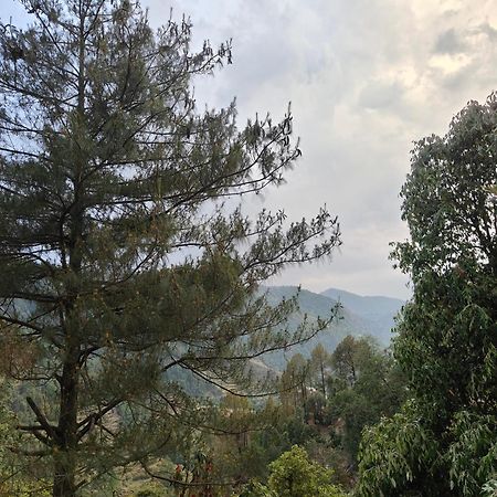 Himwanderer Camps & Cottages Pangot Nainital Exterior foto