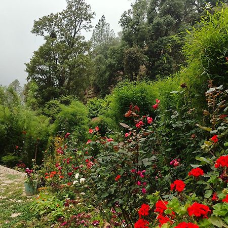 Himwanderer Camps & Cottages Pangot Nainital Exterior foto