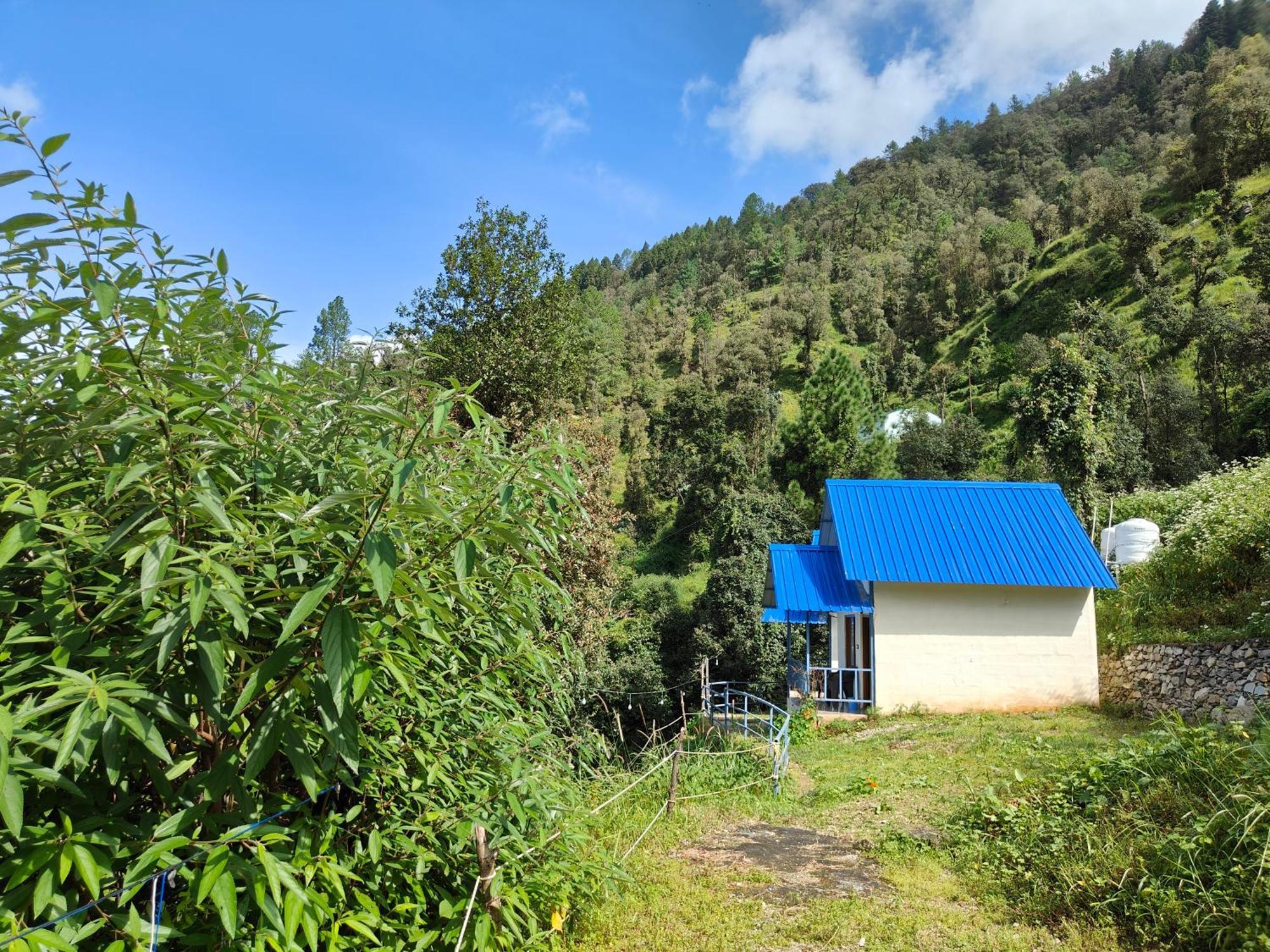Himwanderer Camps & Cottages Pangot Nainital Exterior foto