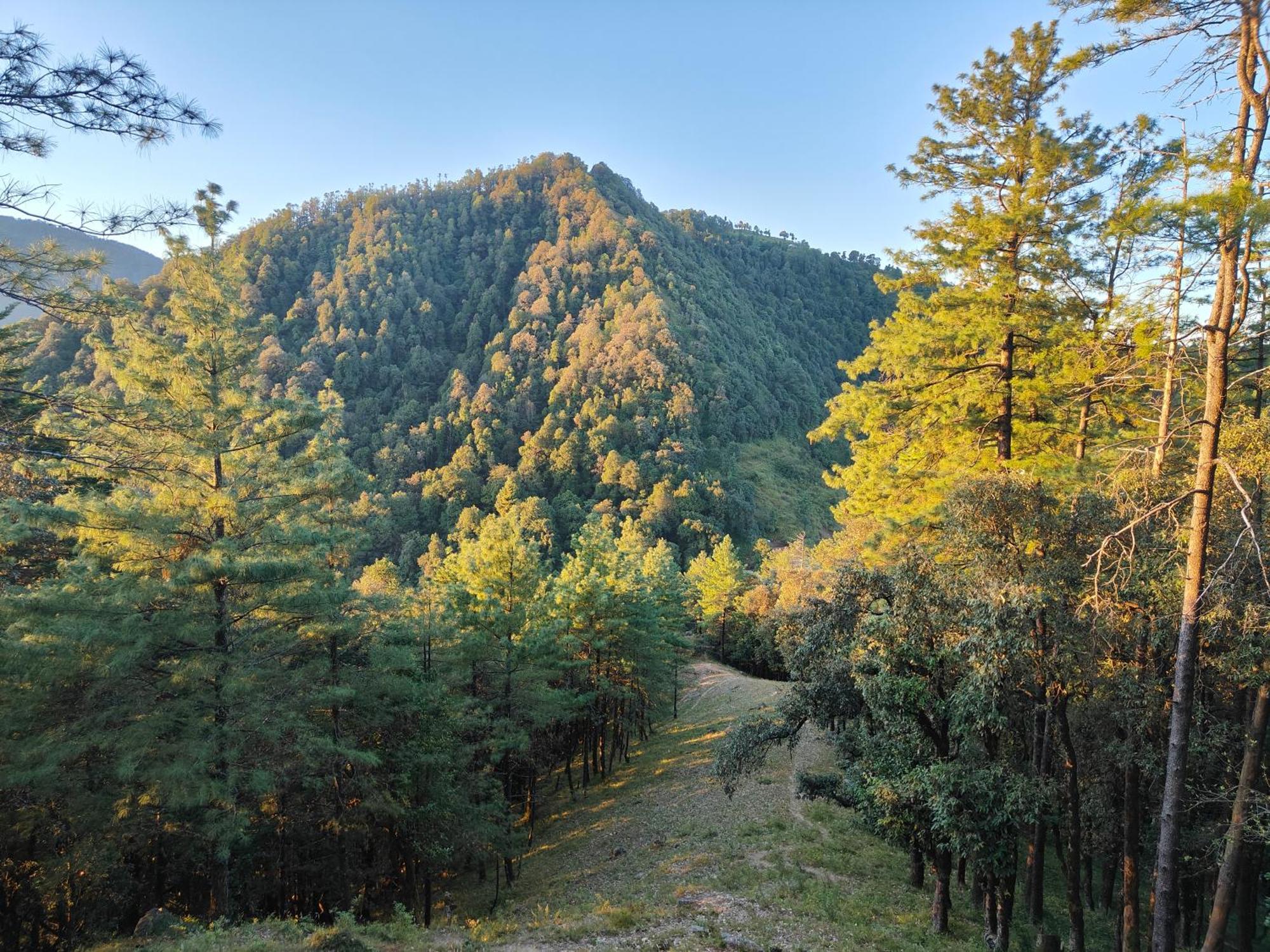 Himwanderer Camps & Cottages Pangot Nainital Exterior foto