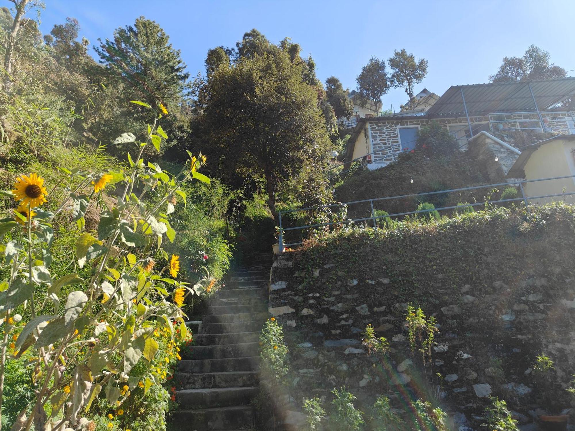 Himwanderer Camps & Cottages Pangot Nainital Exterior foto