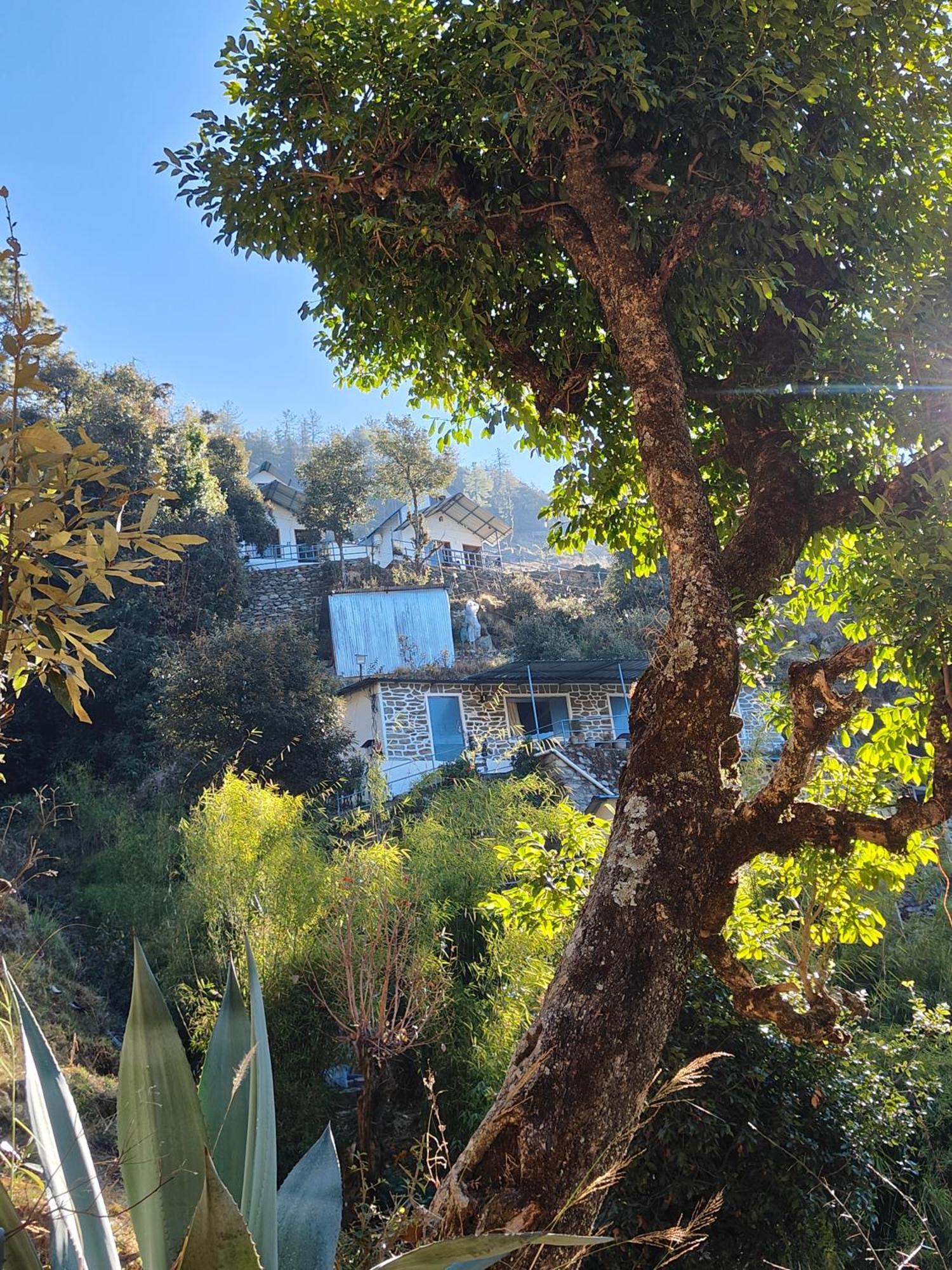 Himwanderer Camps & Cottages Pangot Nainital Exterior foto