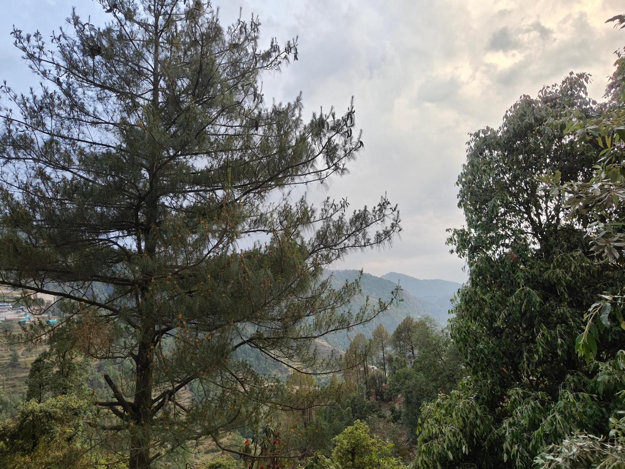 Himwanderer Camps & Cottages Pangot Nainital Exterior foto